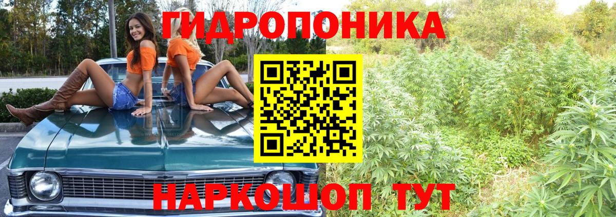 Марихуана сатива  Марихуана индика  МАРИХУАНА индика  Арсеньев 